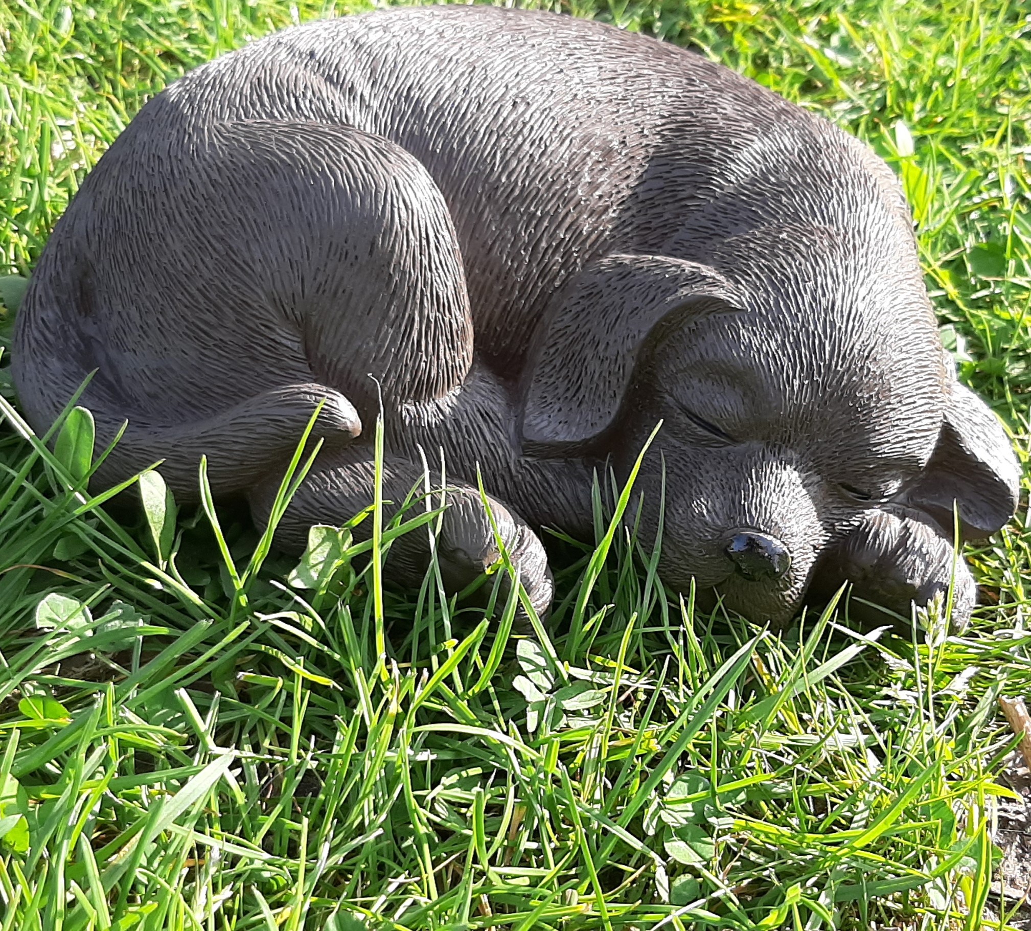 Puppy labrador bruin beeldje 20 cm breed