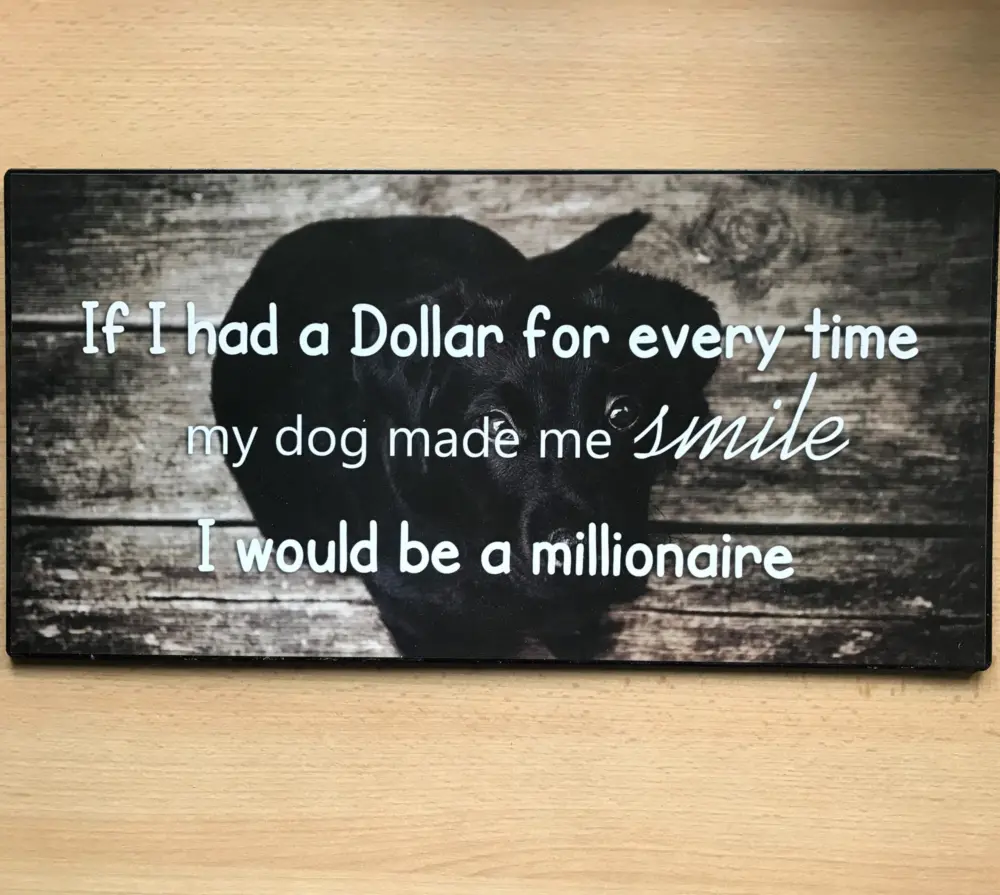 Groot tekstbord DOG made me smile I would be a MILLIONAIRE