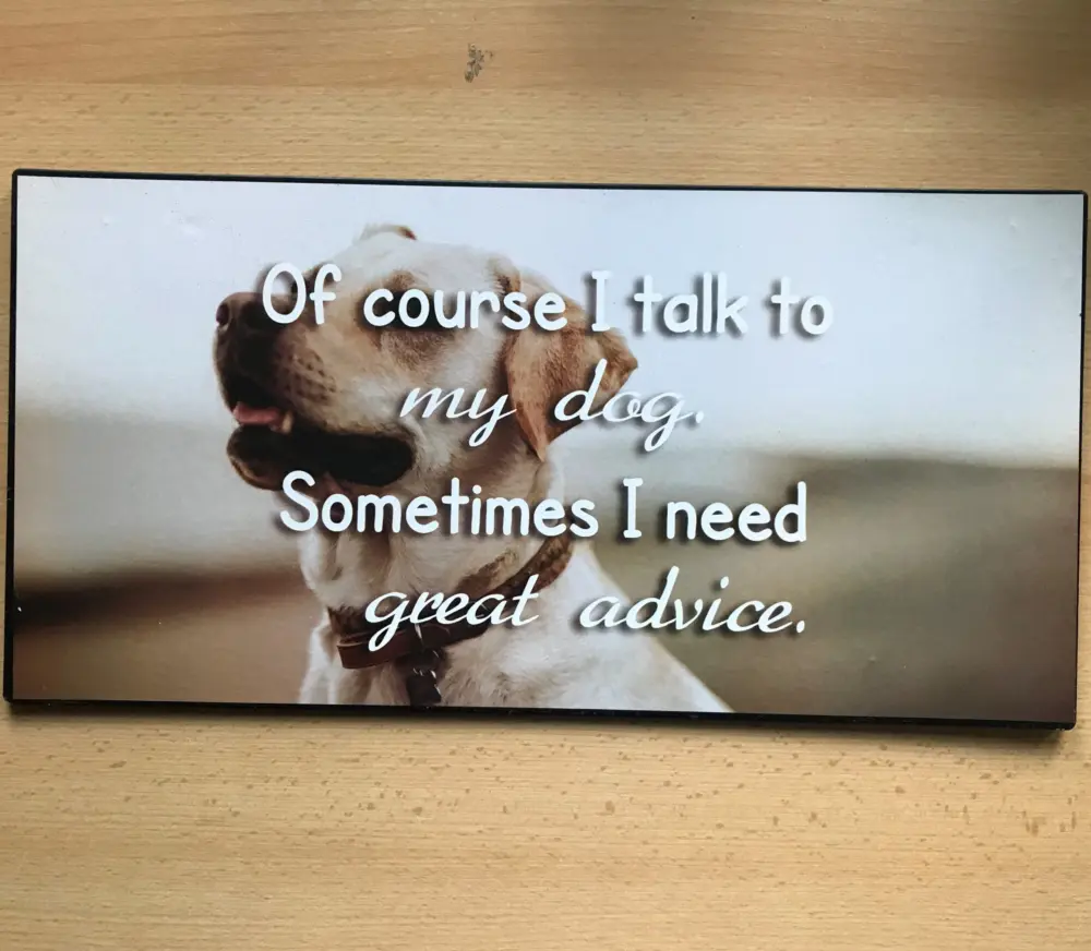 Groot tekstbord Of course I talk to my dog