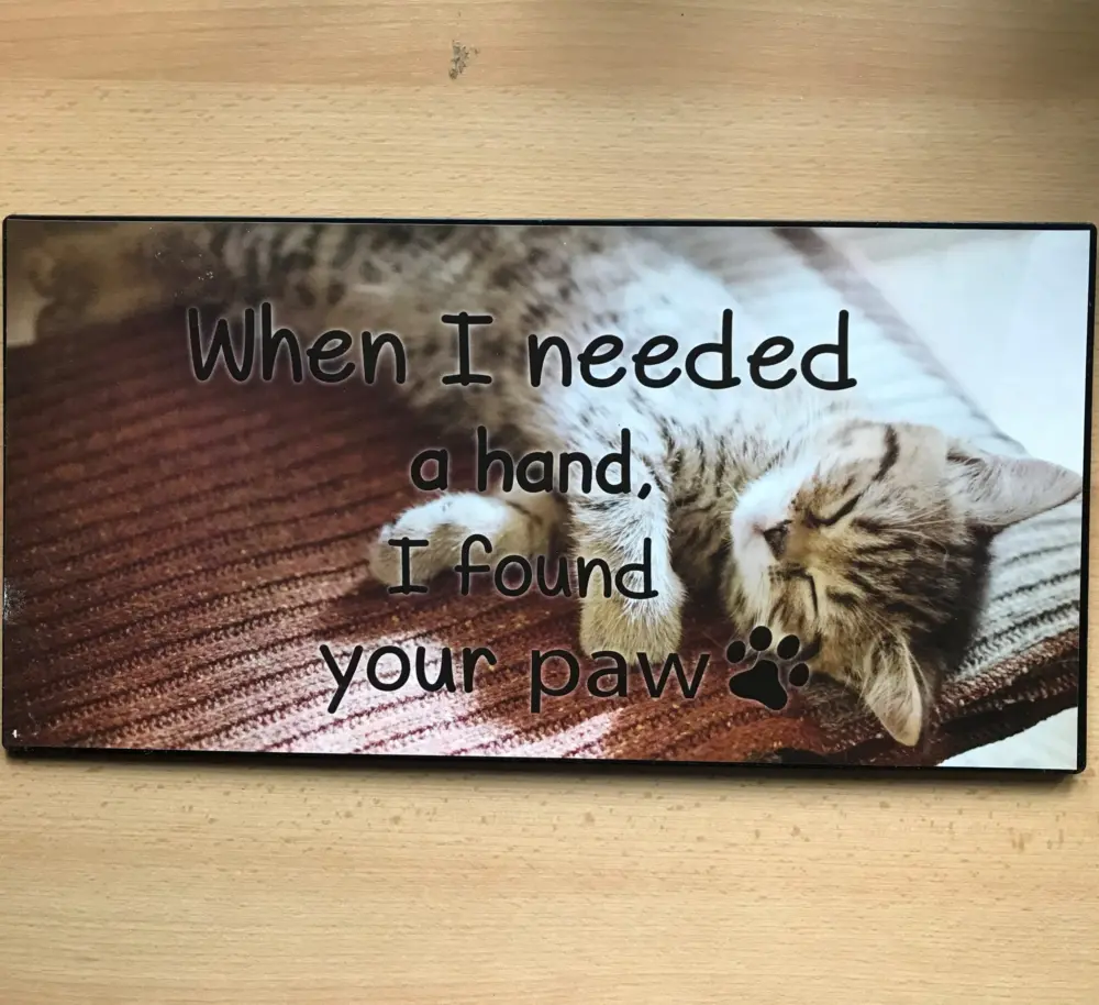 Groot tekstbord When I needed a hand I found your paw