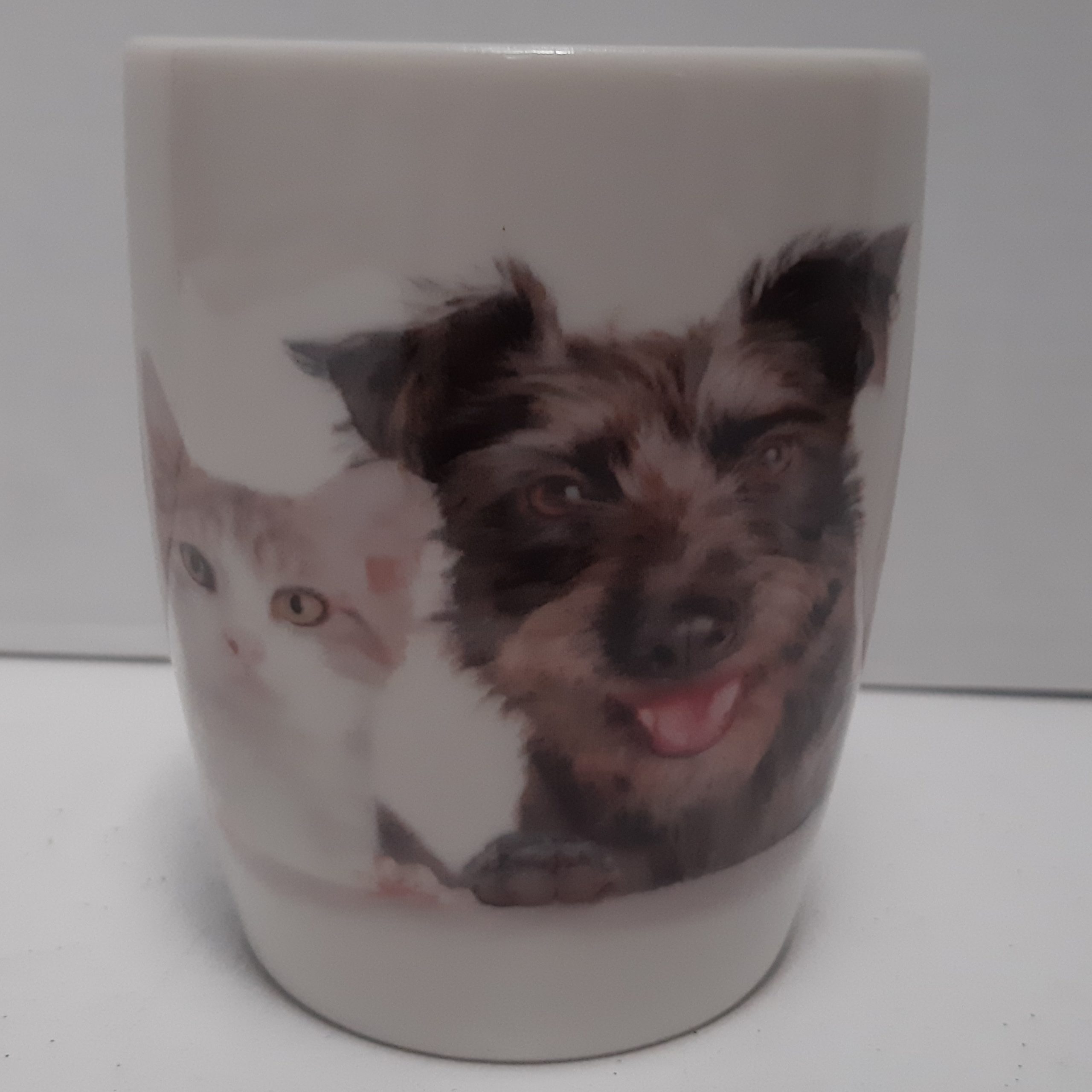 Grote mok met katten en honden V1
