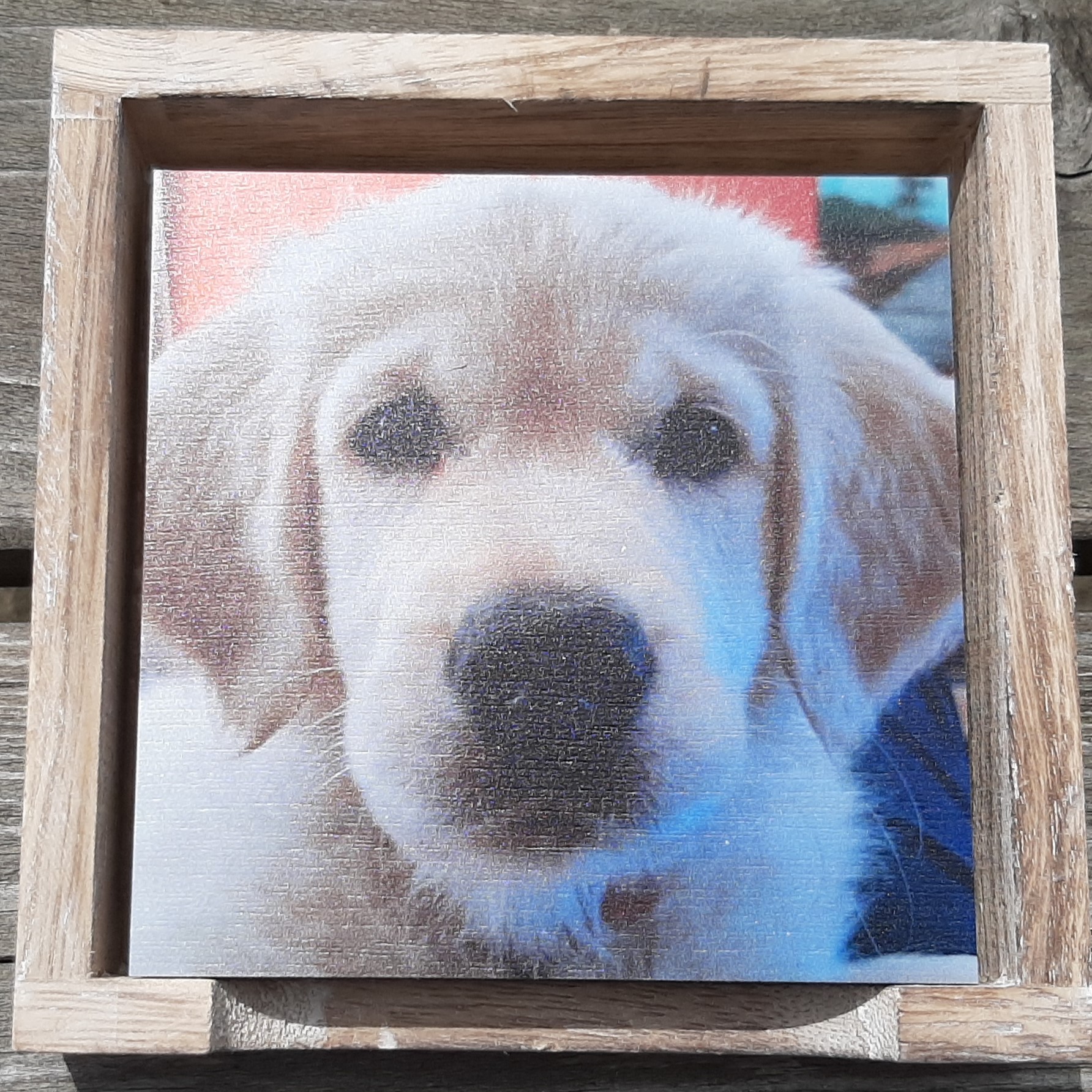 Onderzetters honden puppy's versie 1