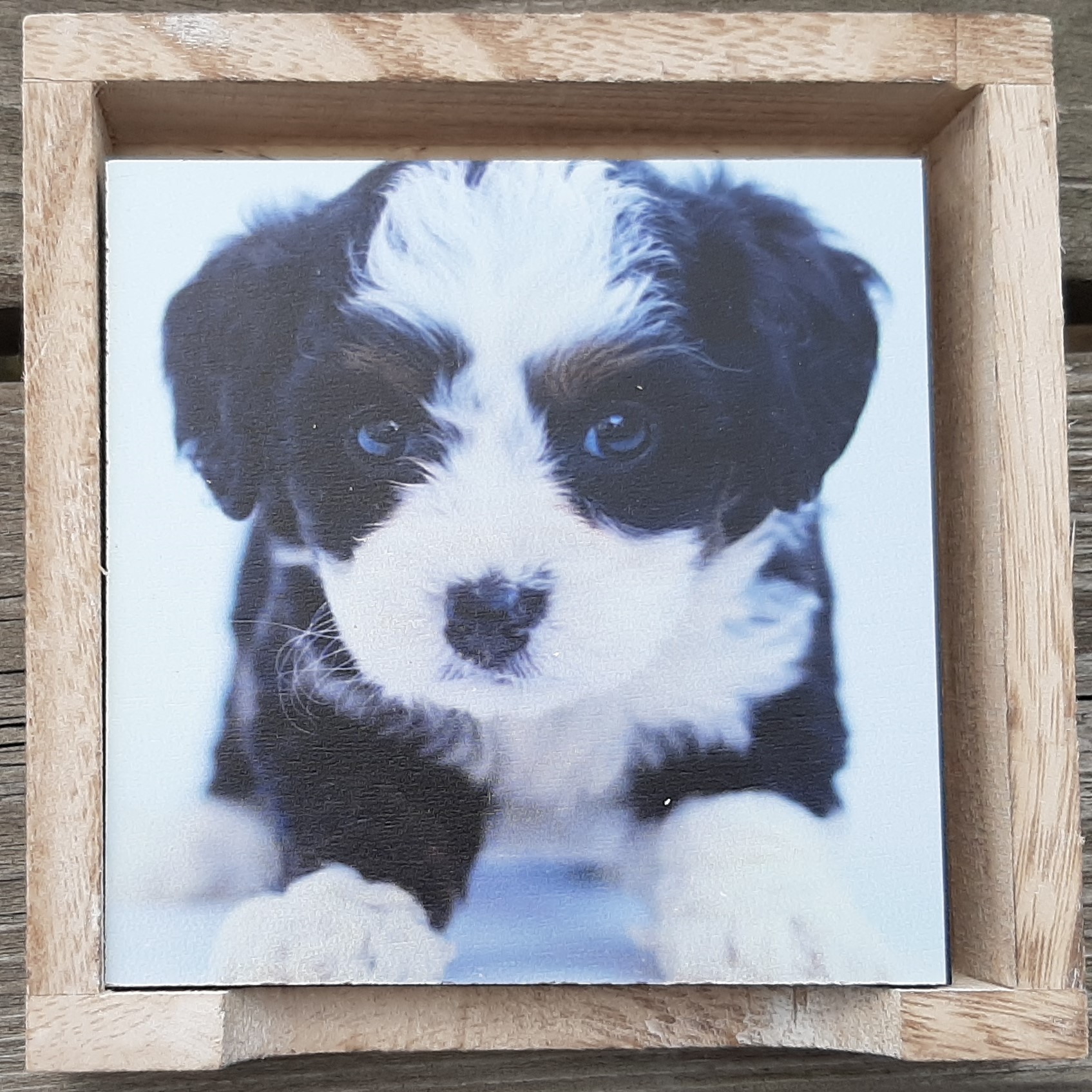 Onderzetters honden puppy's versie 2