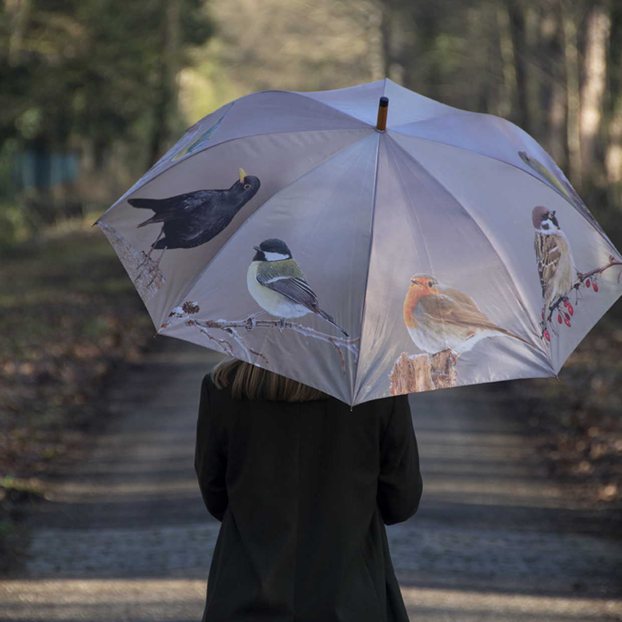 Paraplu met vogels , merel, pimpelmees, vink, distelvink, groenling, mus, roodborstje en koolmees