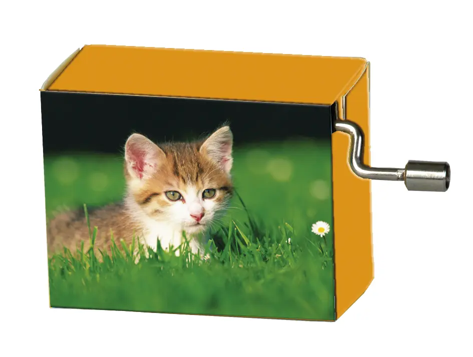 Speeldoosje dieren kitten in het gras met melodie LaLeLu