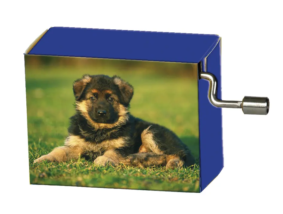 Speeldoosje dieren Hond in het gras met melodie Old McDonald