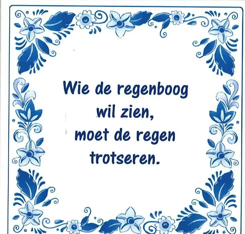Spreuktegel Wie de regenboog wil zien moet de regen trotseren